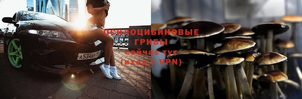 эйфоретик Касимов