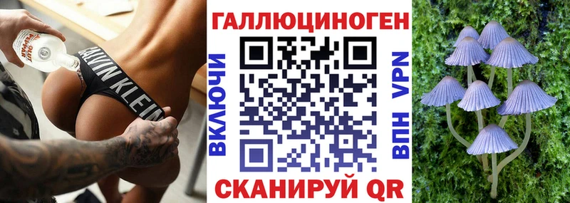 Галлюциногенные грибы мицелий  Цоци-Юрт 